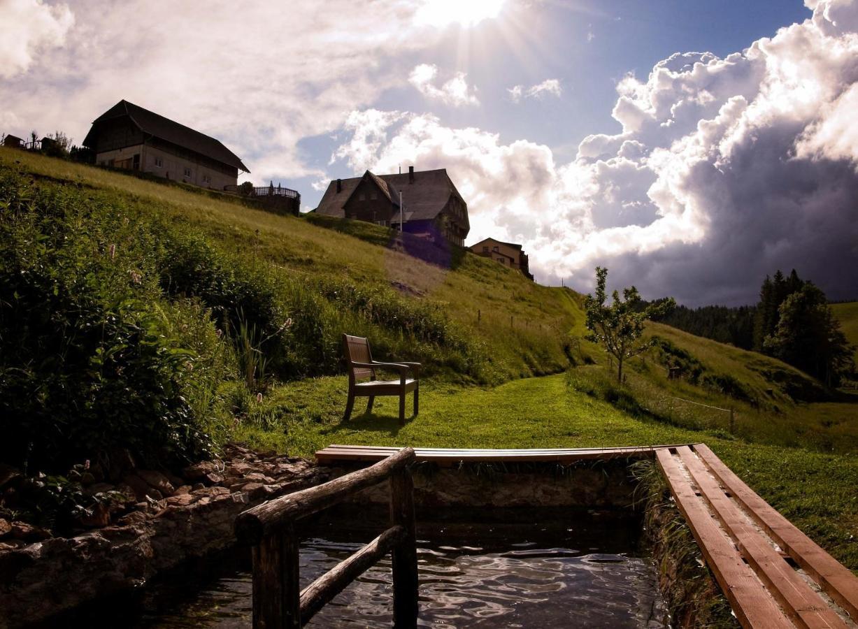 Hotel Thaelerhaeusle Furtwangen Esterno foto