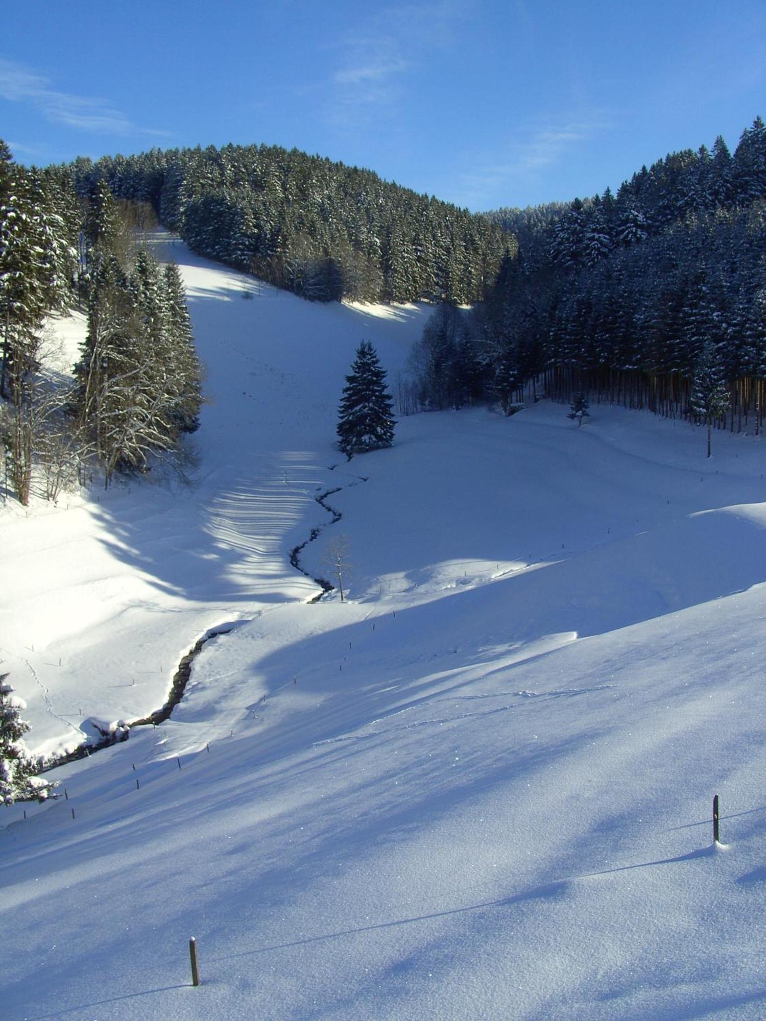 Hotel Thaelerhaeusle Furtwangen Esterno foto