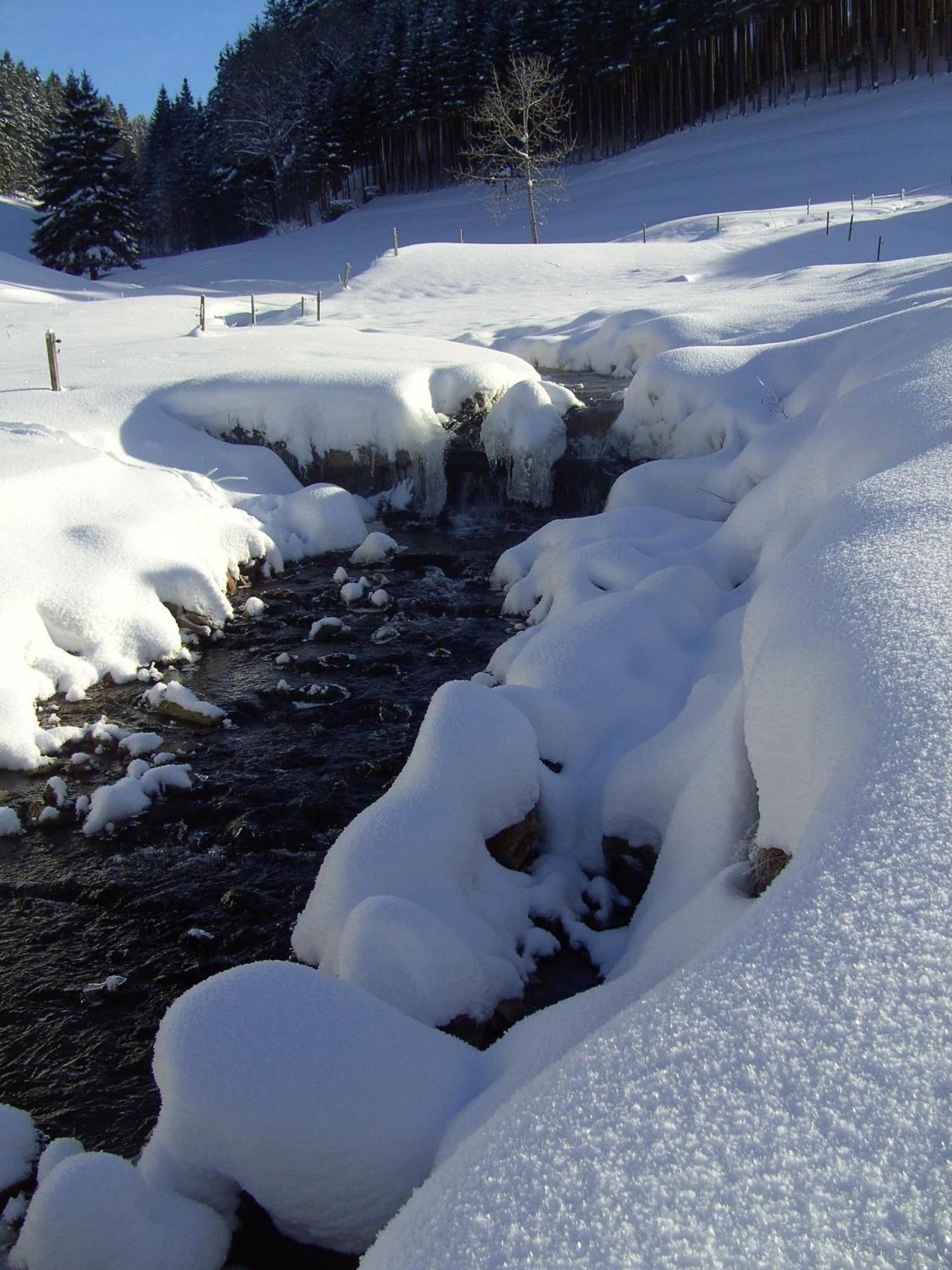 Hotel Thaelerhaeusle Furtwangen Esterno foto