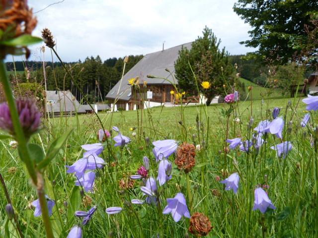 Hotel Thaelerhaeusle Furtwangen Esterno foto